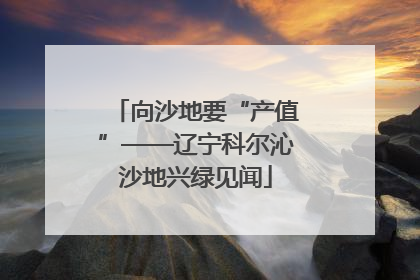 向沙地要“产值”——辽宁科尔沁沙地兴绿见闻