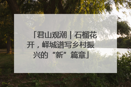 君山观潮｜石榴花开，峄城谱写乡村振兴的“新”篇章