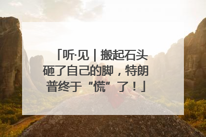 听·见｜搬起石头砸了自己的脚，特朗普终于“慌”了！