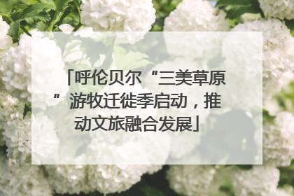 呼伦贝尔“三美草原”游牧迁徙季启动，推动文旅融合发展