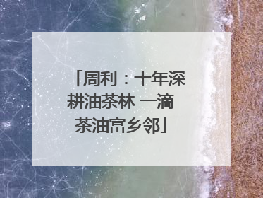 周利：十年深耕油茶林 一滴茶油富乡邻