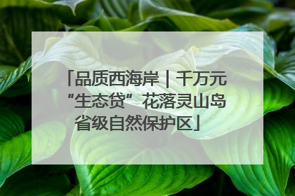 品质西海岸｜千万元“生态贷”花落灵山岛省级自然保护区