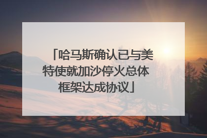 哈马斯确认已与美特使就加沙停火总体框架达成协议