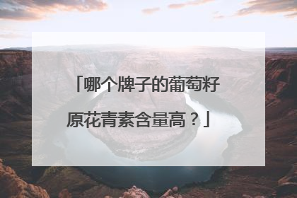 哪个牌子的葡萄籽原花青素含量高？