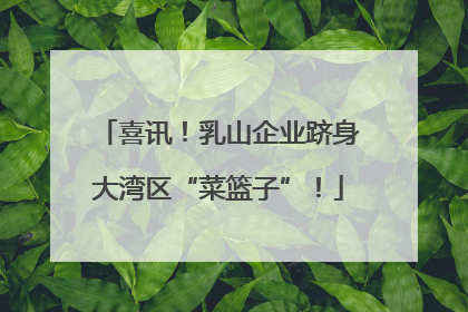 喜讯！乳山企业跻身大湾区“菜篮子”！
