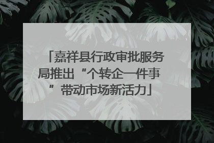 嘉祥县行政审批服务局推出“个转企一件事”带动市场新活力