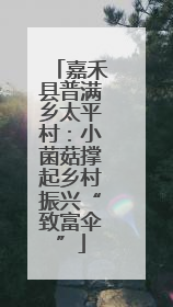 嘉禾县普满乡太平村：小菌菇撑起乡村振兴“致富伞”