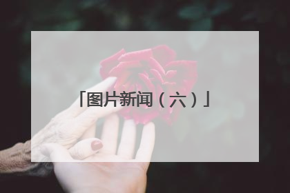 图片新闻（六）