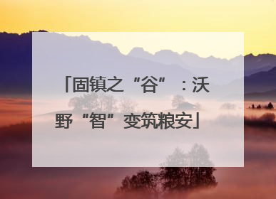 固镇之“谷”：沃野“智”变筑粮安