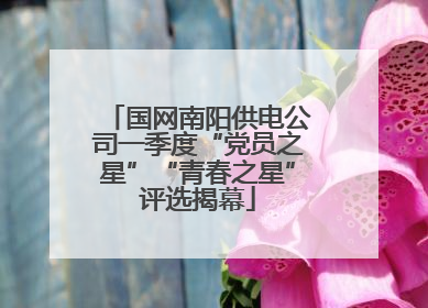 国网南阳供电公司一季度“党员之星”“青春之星”评选揭幕