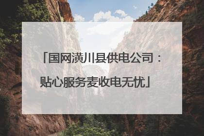 国网潢川县供电公司：贴心服务麦收电无忧