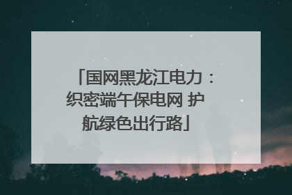 国网黑龙江电力：织密端午保电网 护航绿色出行路