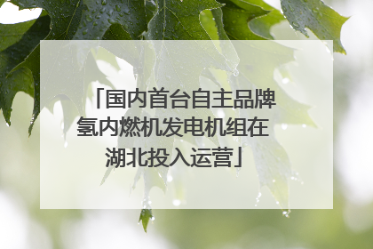 国内首台自主品牌氢内燃机发电机组在湖北投入运营