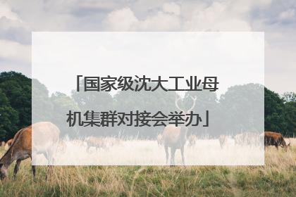 国家级沈大工业母机集群对接会举办