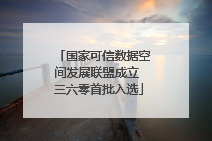国家可信数据空间发展联盟成立 三六零首批入选