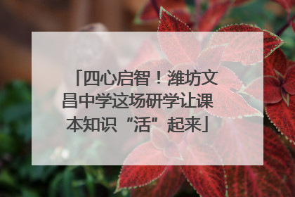 四心启智！潍坊文昌中学这场研学让课本知识“活”起来