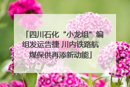 四川石化“小龙组”编组发运告捷 川内铁路航煤保供再添新动能