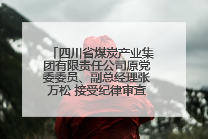 四川省煤炭产业集团有限责任公司原党委委员、副总经理张万松 接受纪律审查和监察调查