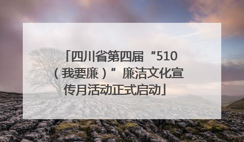 四川省第四届“510（我要廉）”廉洁文化宣传月活动正式启动