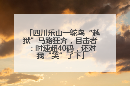 四川乐山一鸵鸟“越狱”马路狂奔，目击者：时速超40码，还对我“笑”了下