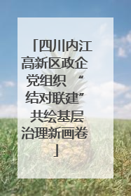 四川内江高新区政企党组织 “结对联建” 共绘基层治理新画卷