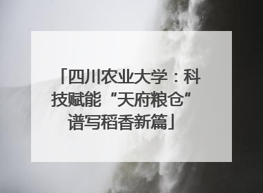四川农业大学：科技赋能“天府粮仓”谱写稻香新篇