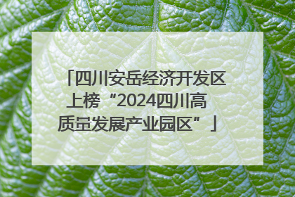 四川安岳经济开发区上榜“2024四川高质量发展产业园区”