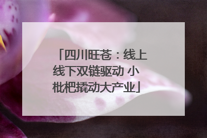 四川旺苍：线上线下双链驱动 小枇杷撬动大产业