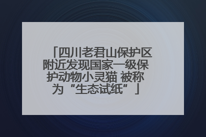 四川老君山保护区附近发现国家一级保护动物小灵猫 被称为“生态试纸”