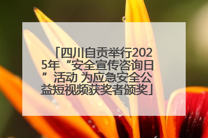 四川自贡举行2025年“安全宣传咨询日”活动 为应急安全公益短视频获奖者颁奖