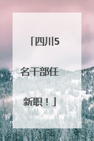 四川5名干部任新职！