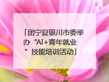团宁夏银川市委举办“AI+青年就业”技能培训活动