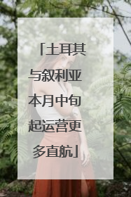 土耳其与叙利亚本月中旬起运营更多直航