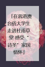 在蓉港澳台侨大学生走进杜甫草堂 感受“诗圣”家国情怀
