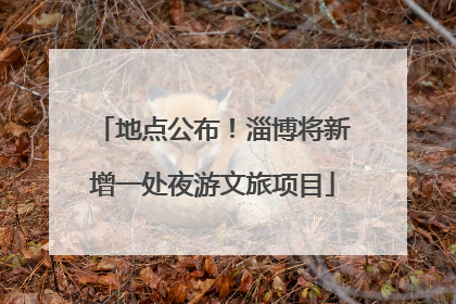 地点公布！淄博将新增一处夜游文旅项目