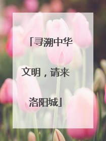 寻溯中华文明，请来洛阳城