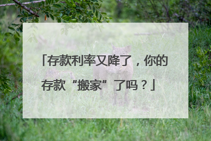 存款利率又降了，你的存款“搬家”了吗？