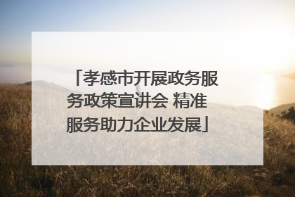 孝感市开展政务服务政策宣讲会 精准服务助力企业发展