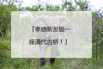 孝感新发现一座清代古桥！