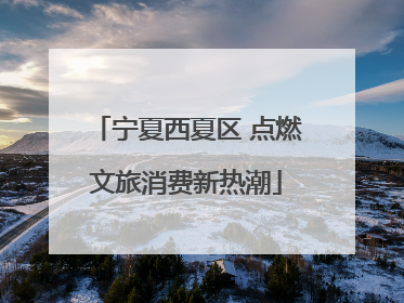宁夏西夏区 点燃文旅消费新热潮