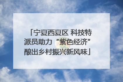 宁夏西夏区 科技特派员助力“紫色经济”酿出乡村振兴新风味