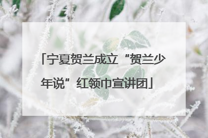 宁夏贺兰成立“贺兰少年说”红领巾宣讲团