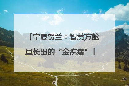 宁夏贺兰：智慧方舱里长出的“金疙瘩”