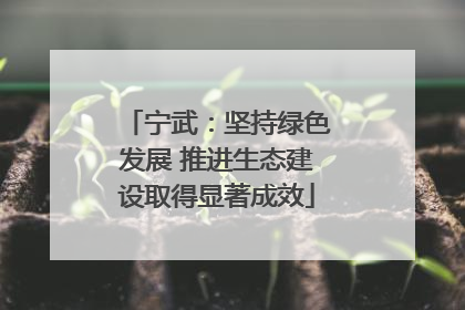 宁武：坚持绿色发展 推进生态建设取得显著成效