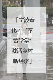 宁波奉化：“奉菁学堂”激活乡村新经济