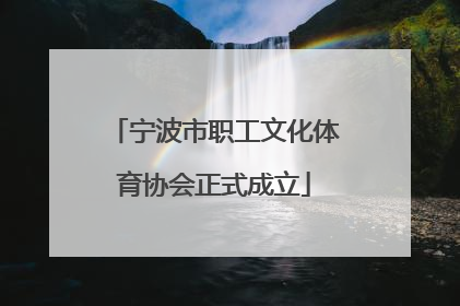 宁波市职工文化体育协会正式成立