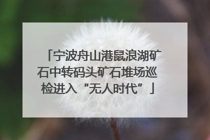宁波舟山港鼠浪湖矿石中转码头矿石堆场巡检进入“无人时代”