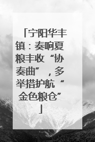 宁阳华丰镇：奏响夏粮丰收“协奏曲”，多举措护航“金色粮仓”