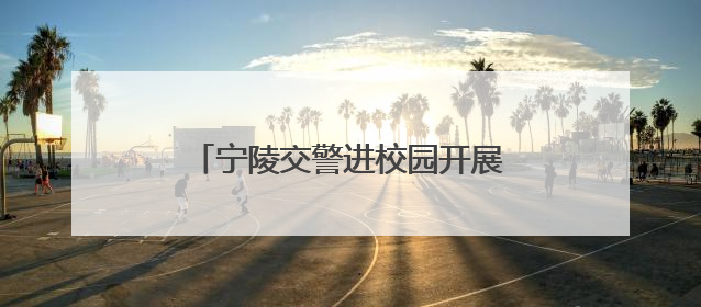 宁陵交警进校园开展交通安全宣传活动