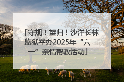 守规！望归！沙洋长林监狱举办2025年“六一”亲情帮教活动